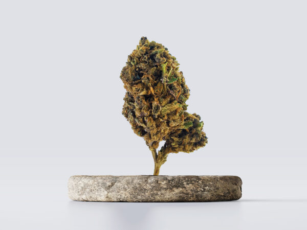 cbd vršički bubblegum