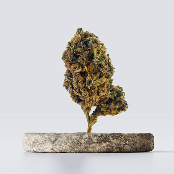 cbd vršički bubblegum