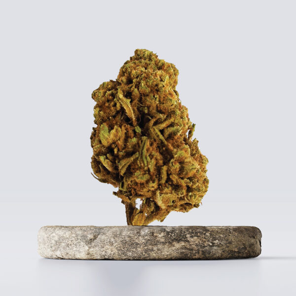 cbd vršički cherry