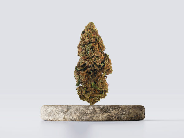 cbd vršički thunder berry