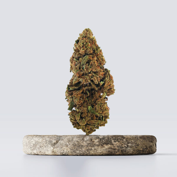 cbd vršički thunder berry