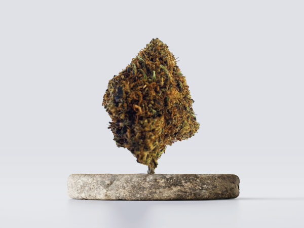 cbd vršički bubba kush