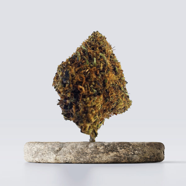 cbd vršički bubba kush