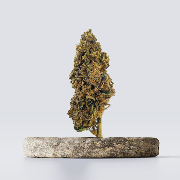 cbd vršički red mandarine