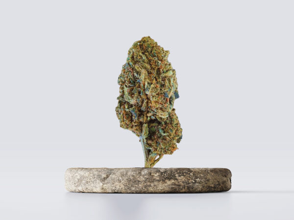 cbd vršički fruit cake