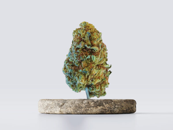 cbd vršički lemon haze