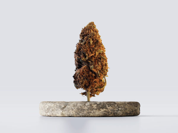skywalker og