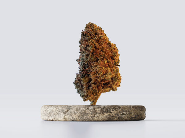 super silver haze